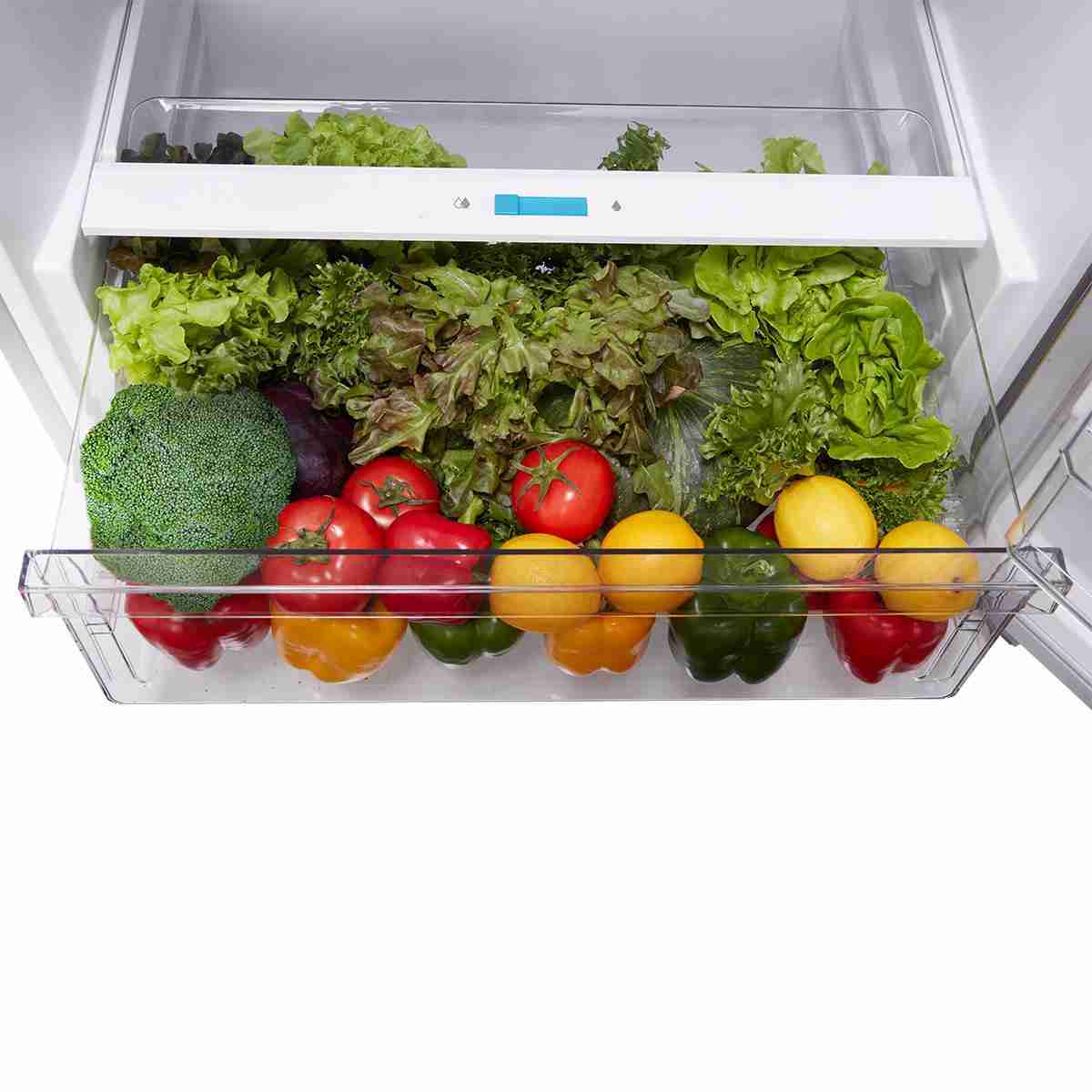 Midea 14 cu. ft. Garage Ready Top-Freezer Refrigerator - Alexander